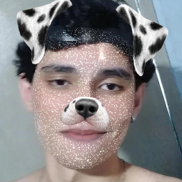 Alguma foto minha ou algm coisa